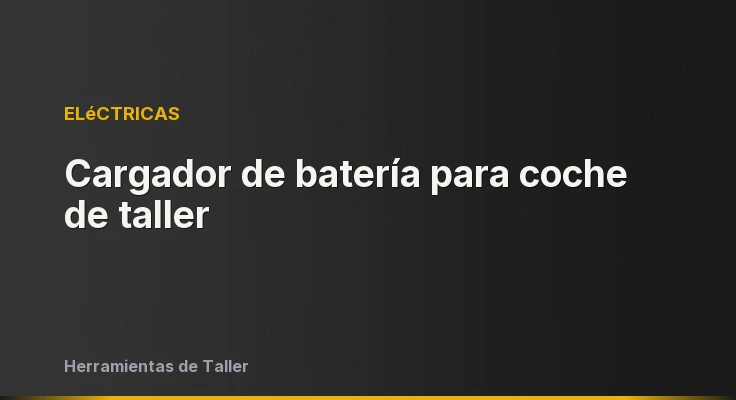 Cargador de batería para coche de taller